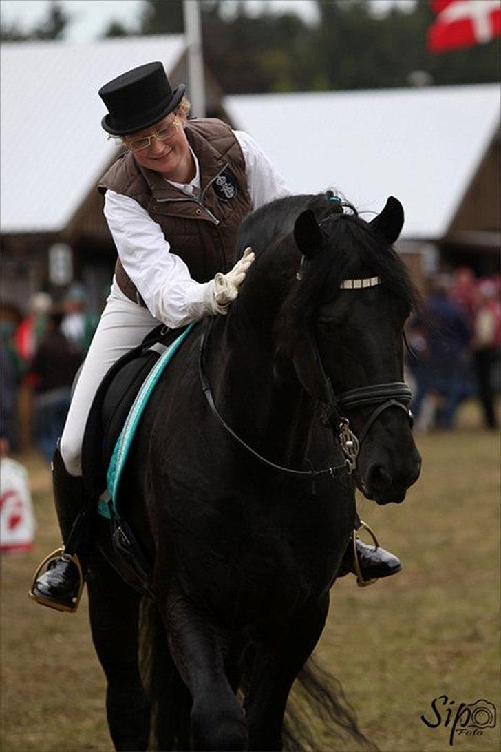 Frieser WIERD 409 - Mig og Wierd 409 Lørdag på Hjørring dyrskue 2011. billede 15