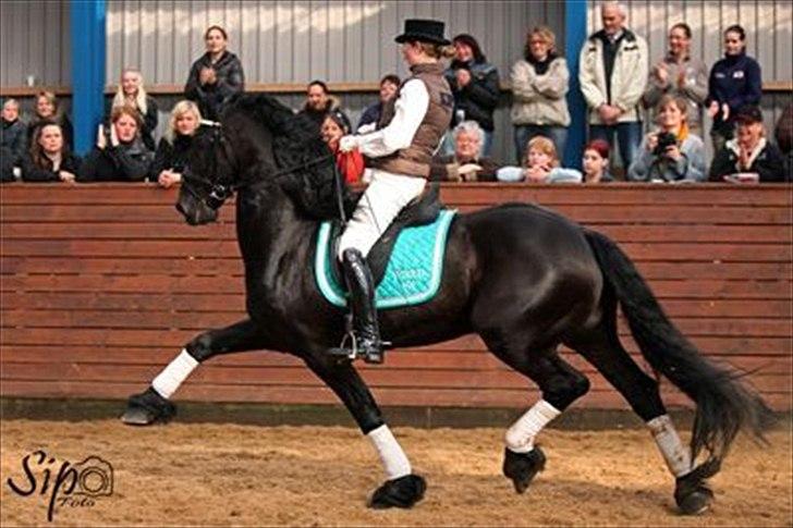 Frieser WIERD 409 - Mig og Wierd 409 til hingsedag i Viborg 2011. billede 17