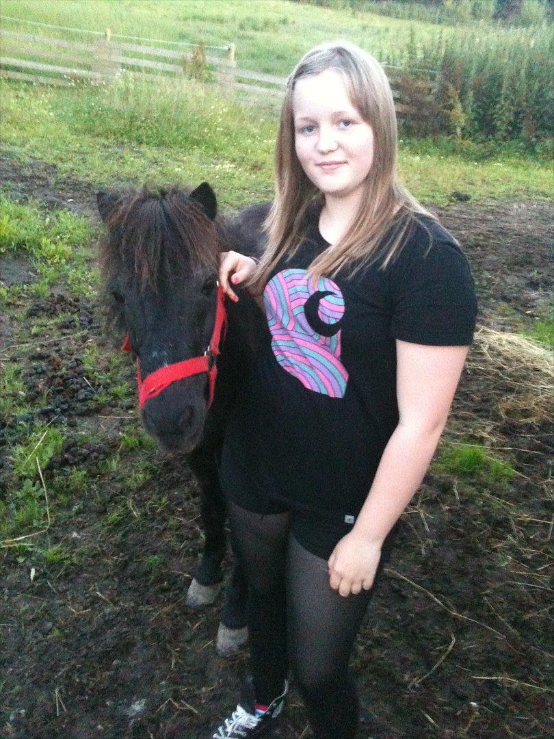 Shetlænder Thomsen billede 12