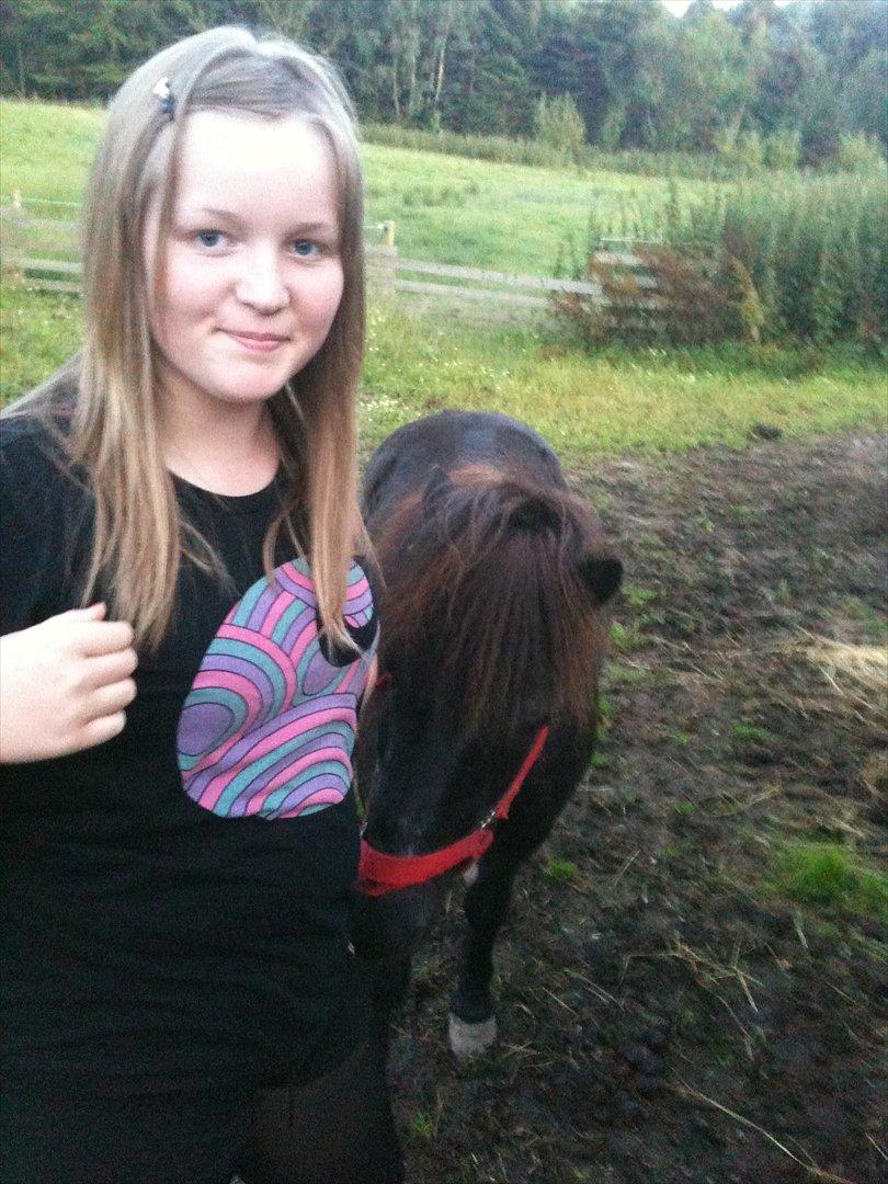 Shetlænder Thomsen billede 13