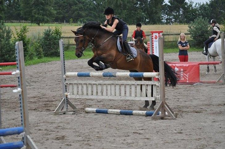 Connemara Hedehusets Ragout*B-Pony* - Springcamp hos Linnea og Shane:-)
Fed oplevelse har virkelig haft det sjovt samen med den dejlig pony og de søde mennesker:-D billede 19