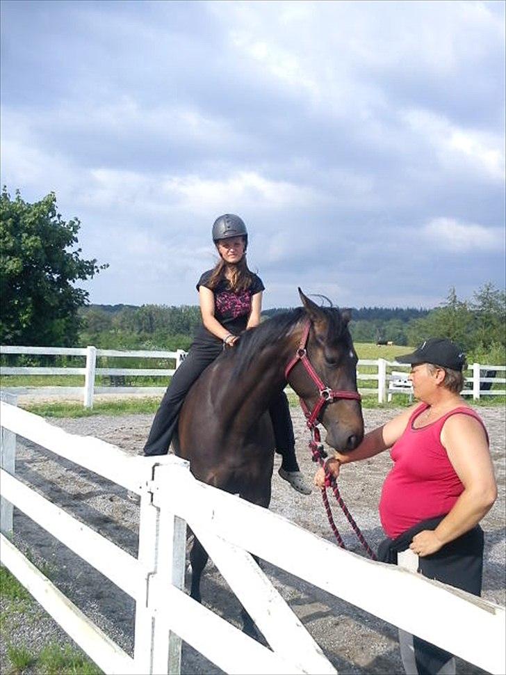 Trakehner Malaysia - En af de første gange Cille sidder på Malaysia billede 6