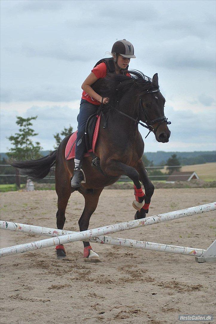 DSP DiNozzo IWE. - Springer (:
MSP FOTO billede 27