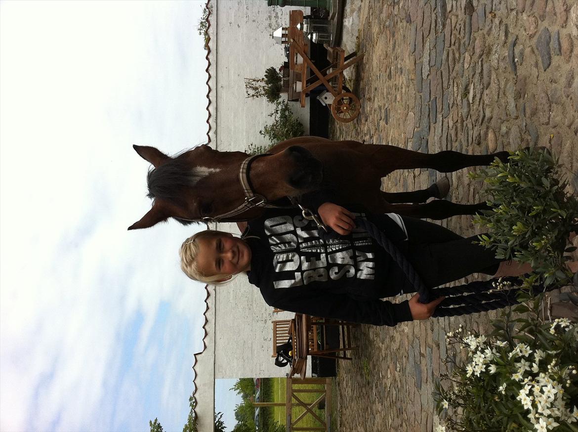 Anden særlig race Jackpot - klar til stævne billede 1