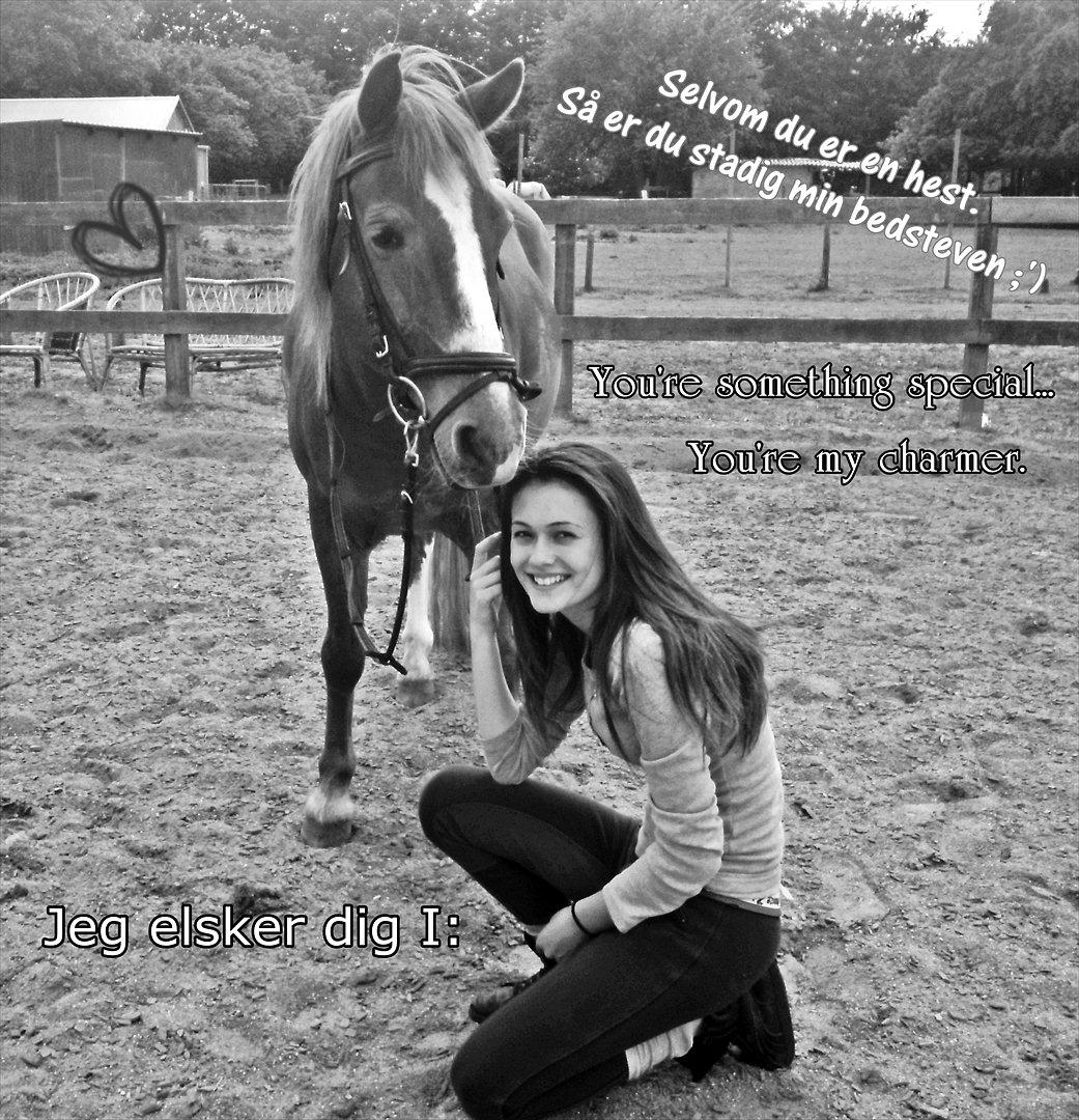 DSP Hubertus Passer - Hubertus og jeg, har det med at hygge efter den ''hårde'' ridning. (-: hæhæ. billede 18