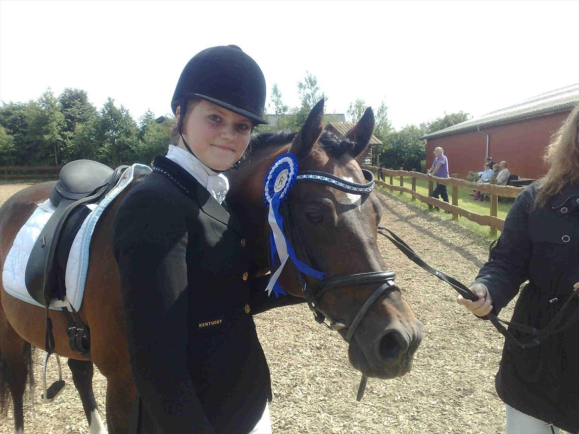 Hollandsk Sportspony Coelenhage's Purioso A-PONY - Vores første stævne<33 billede 7