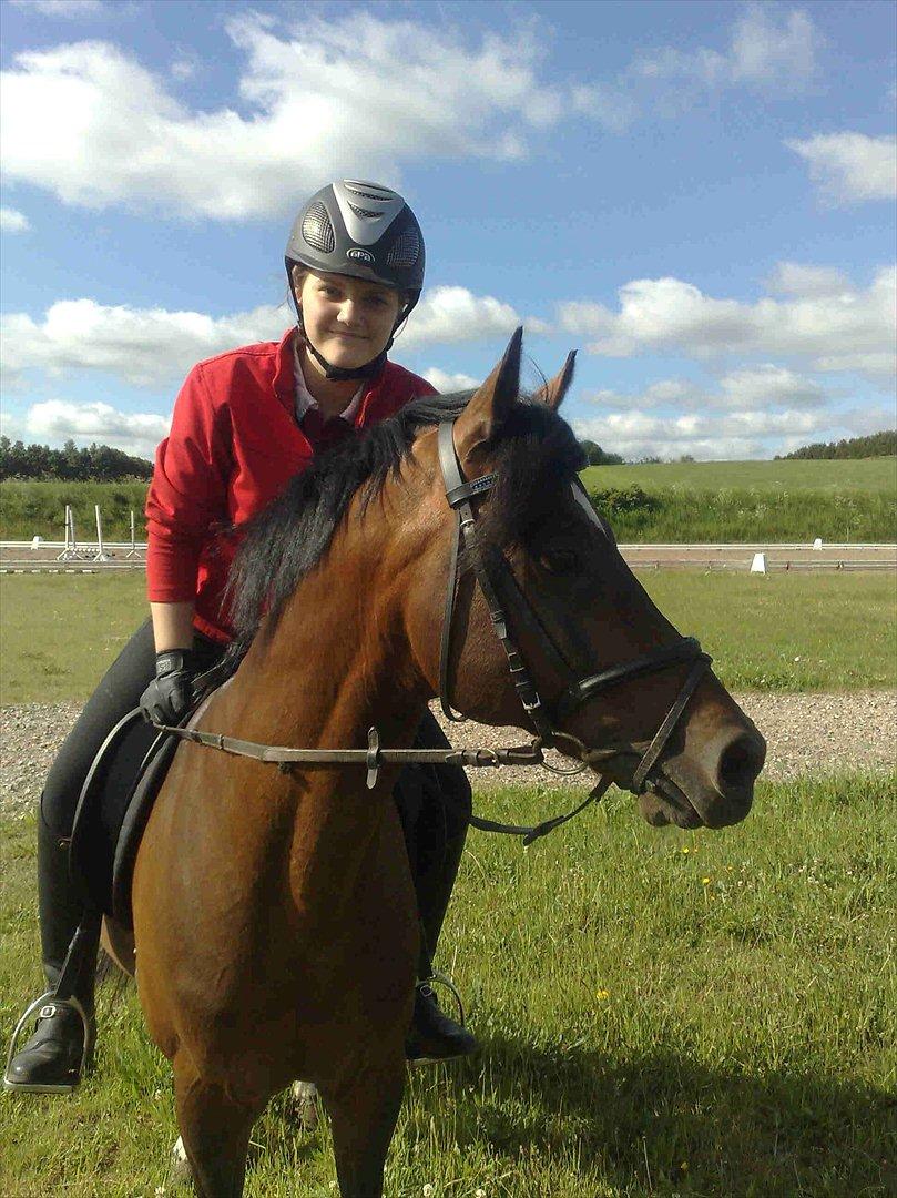 Hollandsk Sportspony Coelenhage's Purioso A-PONY - Min første tur på ham<3 billede 10