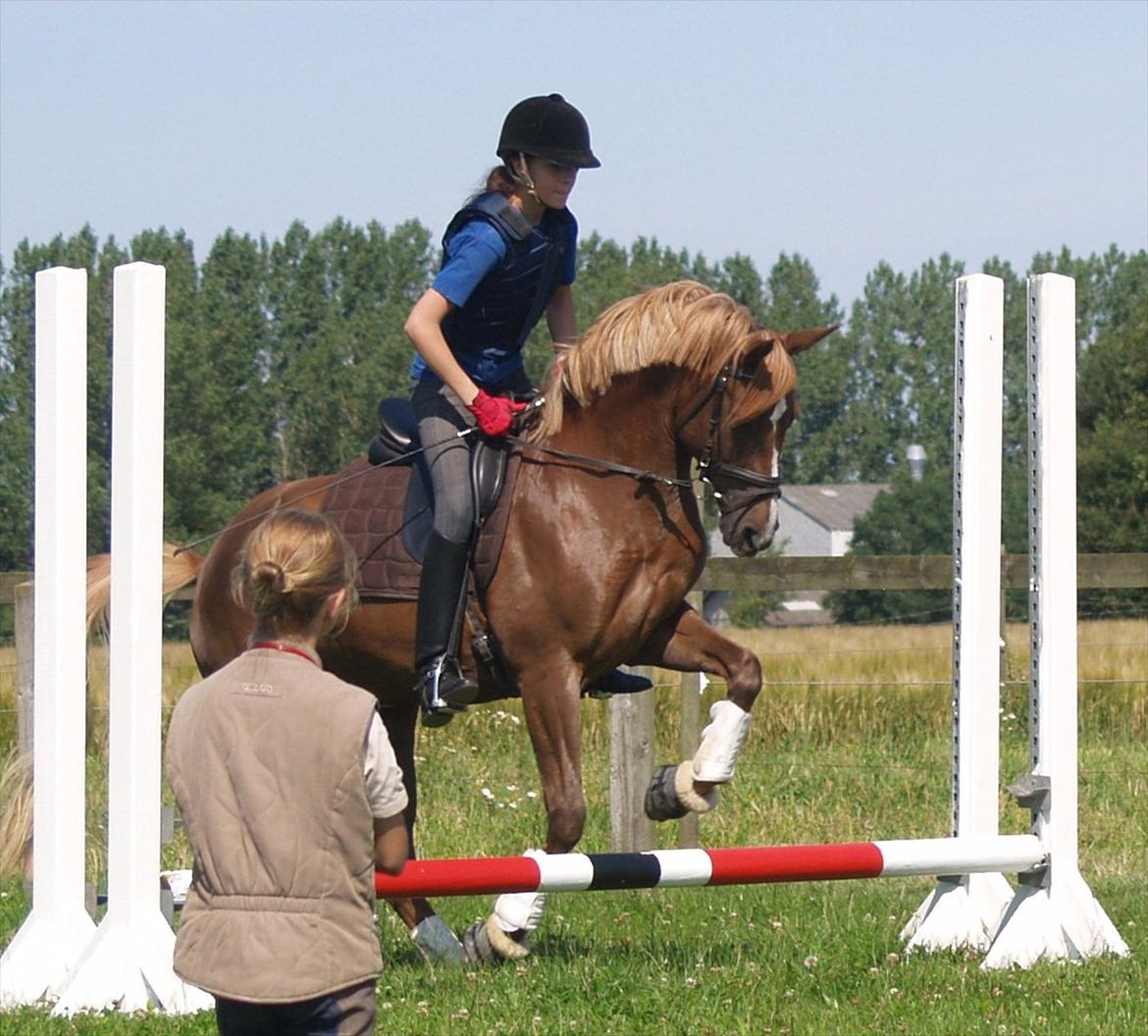 Hollandsk Sportspony Kelly Van Stall Romano *SOLGT* - ude og springe.. hverken ponyen eller jeg er vandt til det.. så ingen kritik på det:)) barbie hest;)<3 billede 6