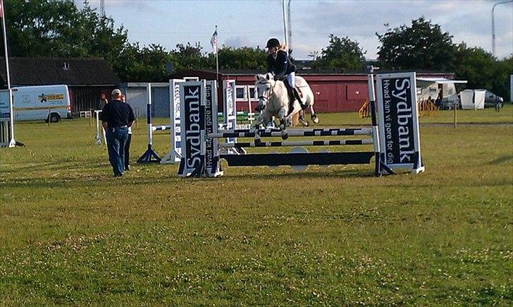 Connemara Sdr. Vestermark Carreen  - LA på boller på dyreskuepladsen i Horsens ;)<3 billede 15