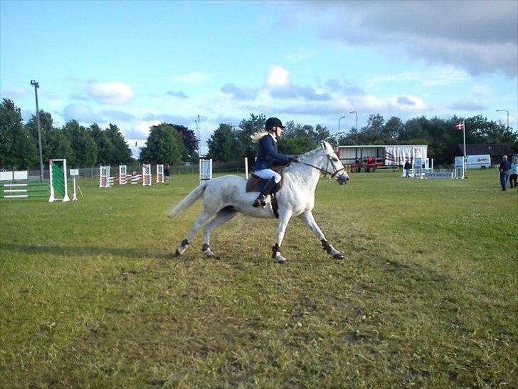 Connemara Sdr. Vestermark Carreen  - fuld galop i LA ;) dyreskuepladsen boller ;);) billede 17