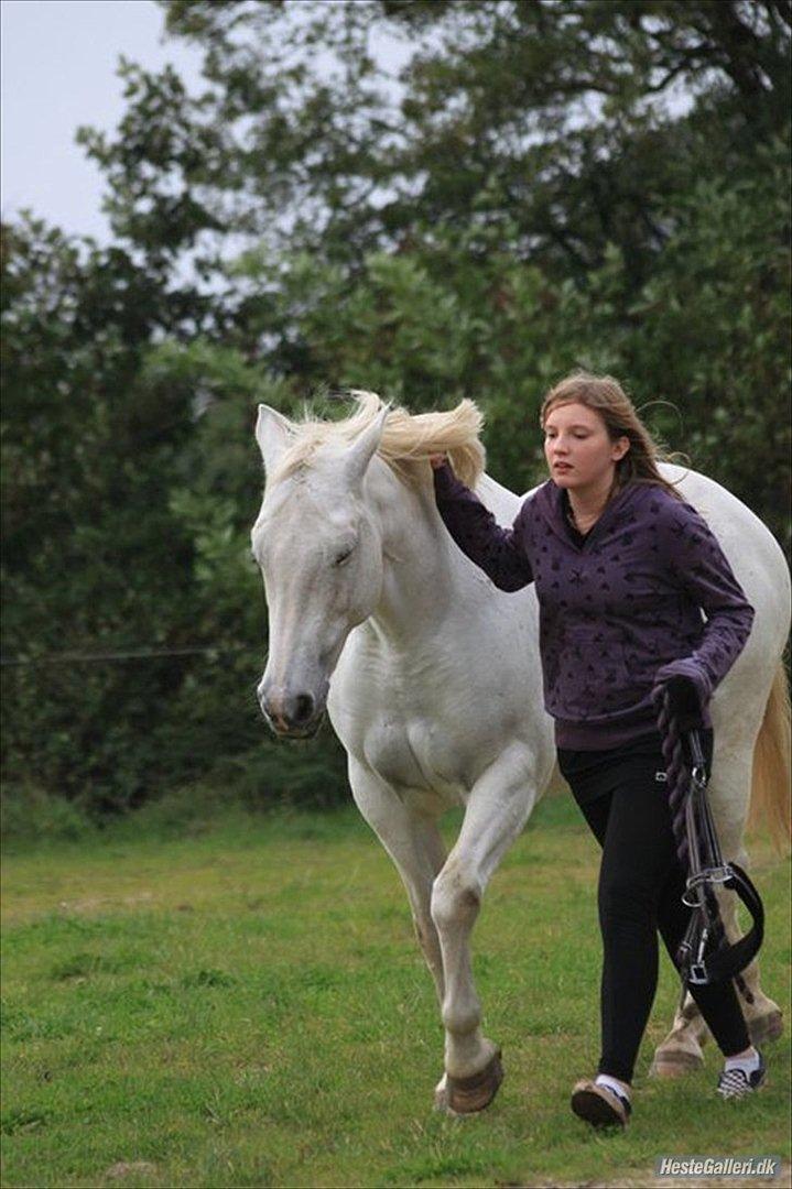 Anden særlig race Osanna  - Træt efter løsspringning :)  billede 5