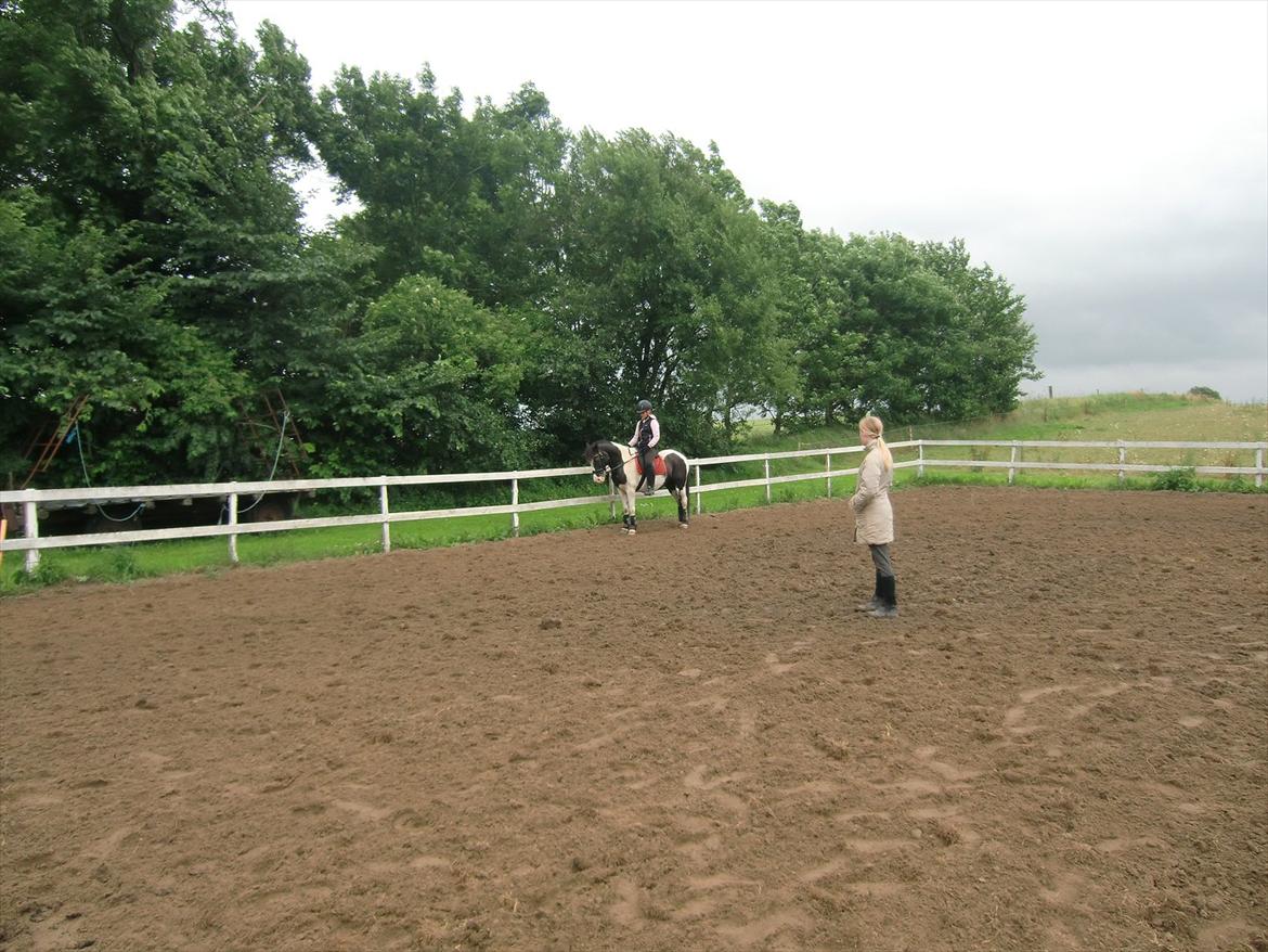 Anden særlig race Musse<33 solgt:'( *du vil altid være i mit hjerte* - NYT billede 1