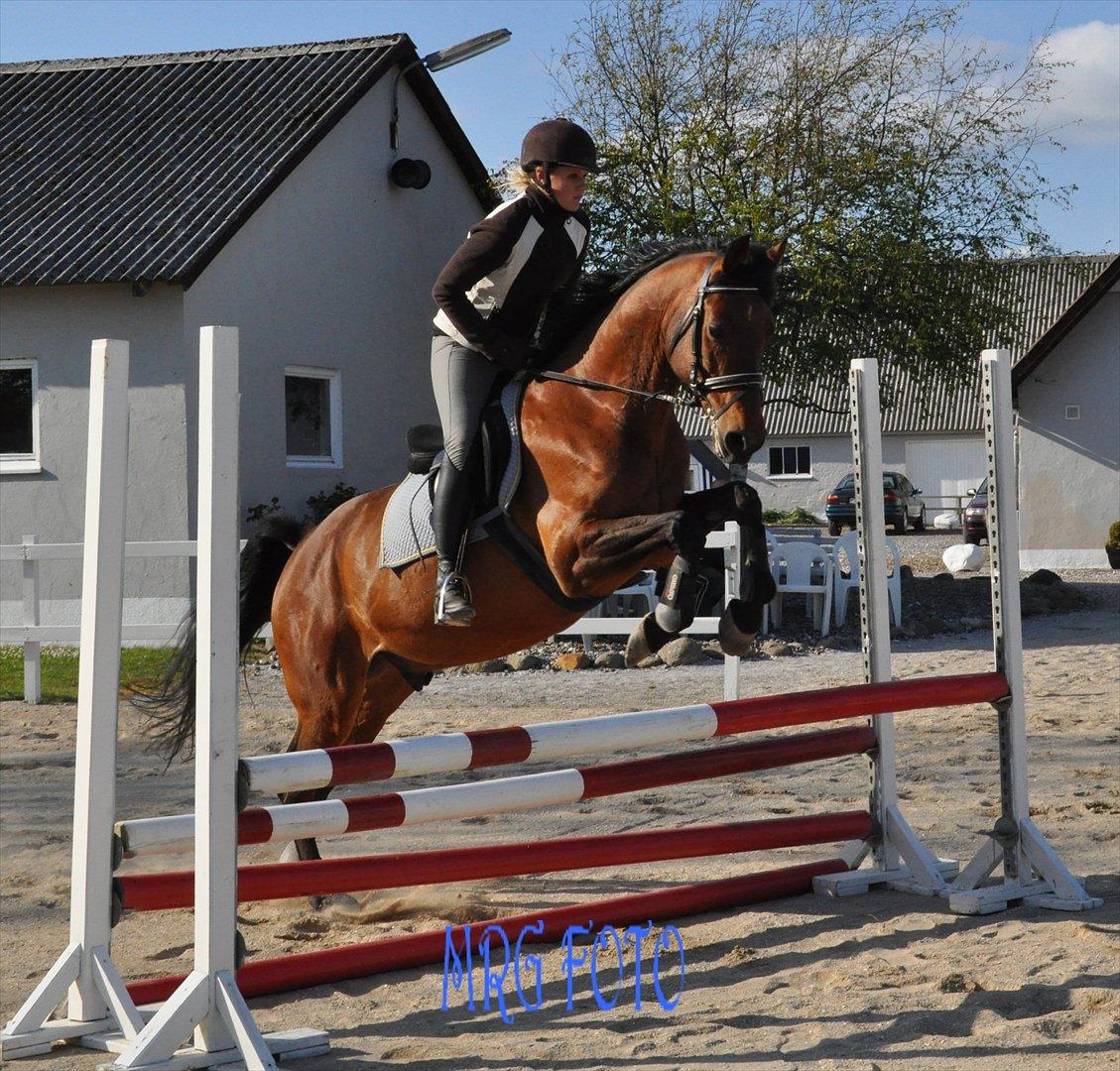 Anden særlig race Lucky billede 4