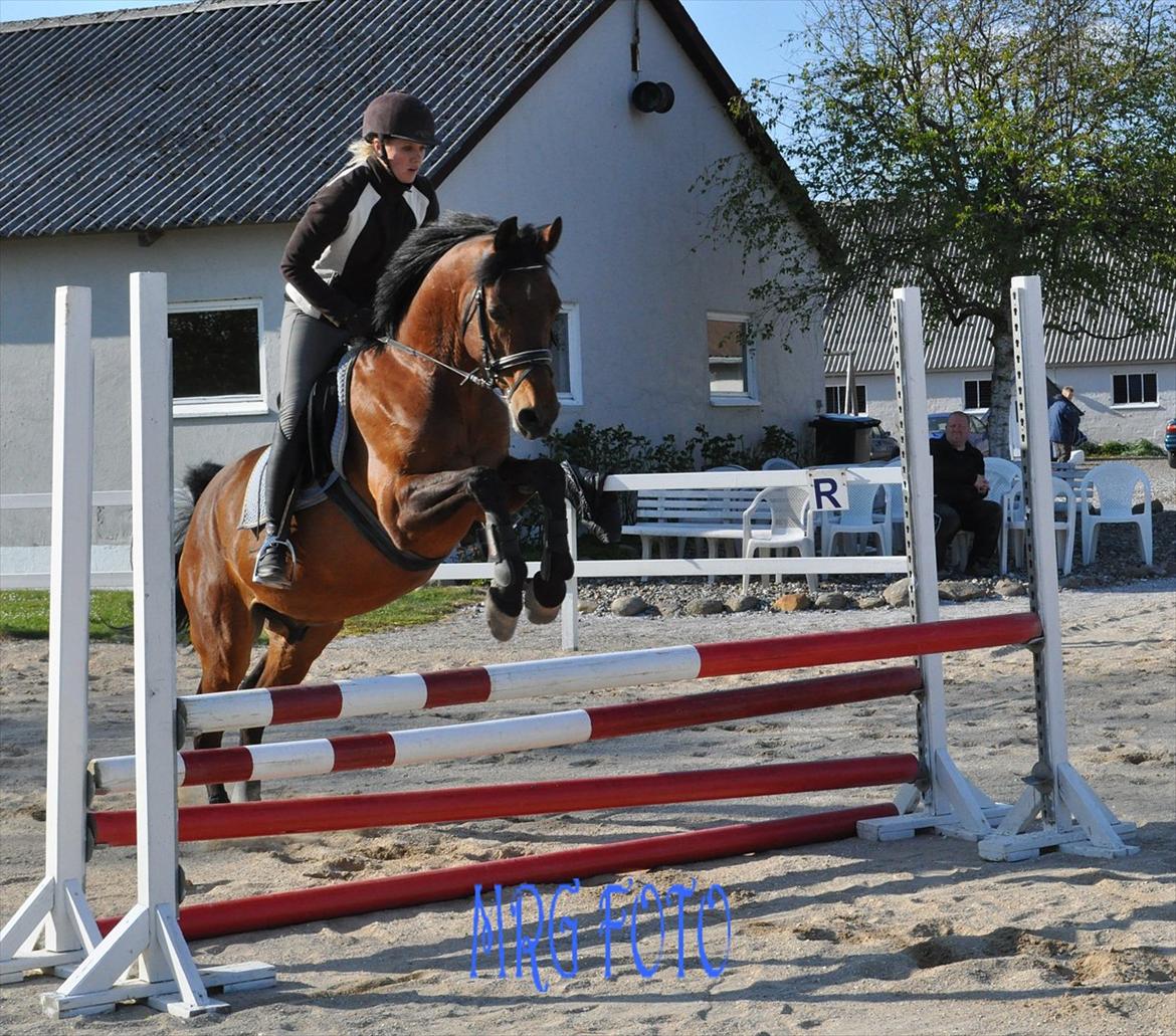 Anden særlig race Lucky billede 7