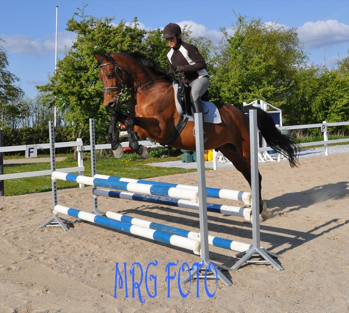 Anden særlig race Lucky billede 10