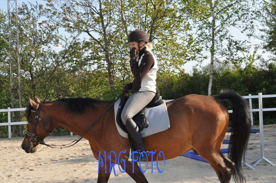 Anden særlig race Lucky billede 12