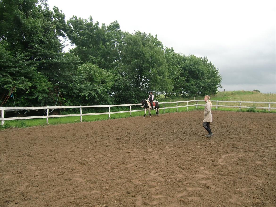 Anden særlig race Musse<33 solgt:'( *du vil altid være i mit hjerte* - NYT billede 2