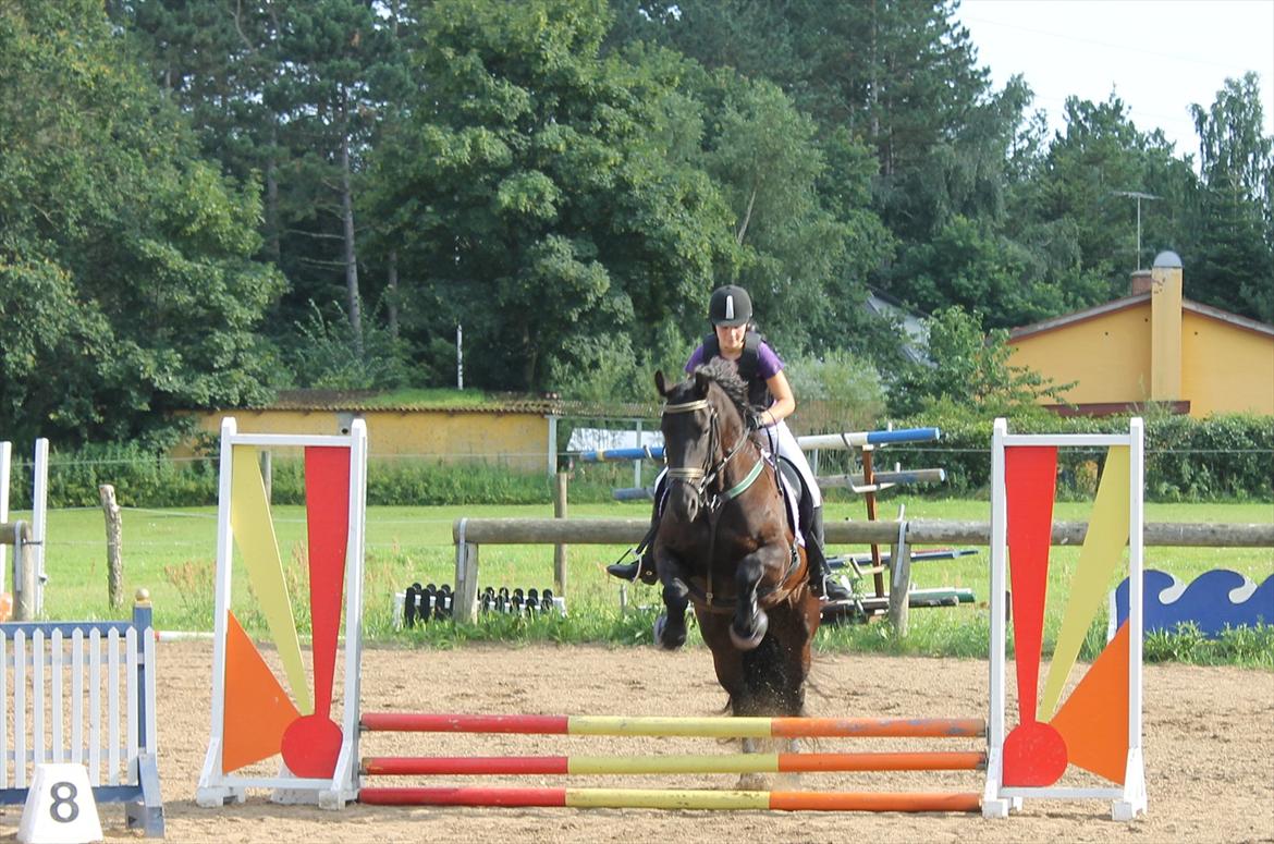 Frieser Linda A billede 13