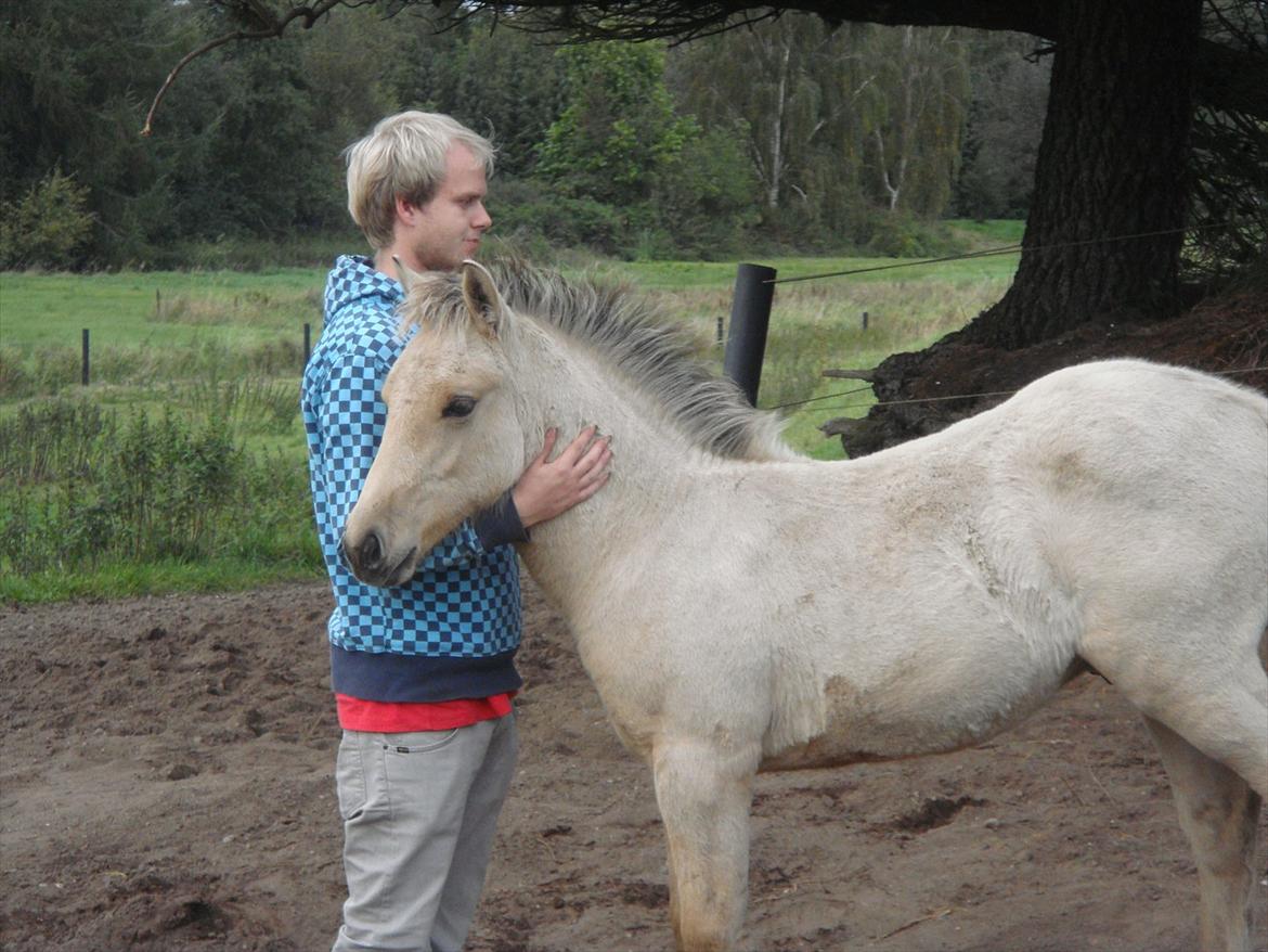 Anden særlig race Theo billede 5