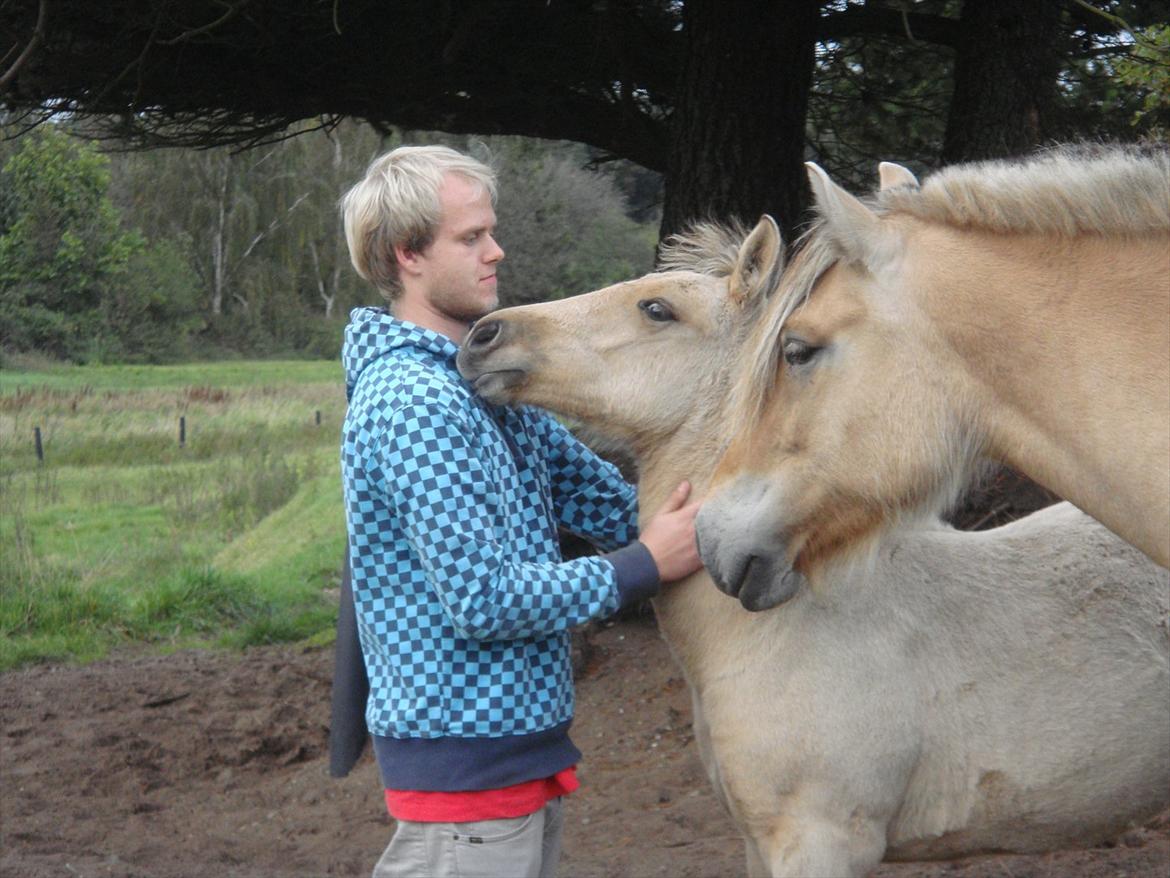 Anden særlig race Theo billede 6