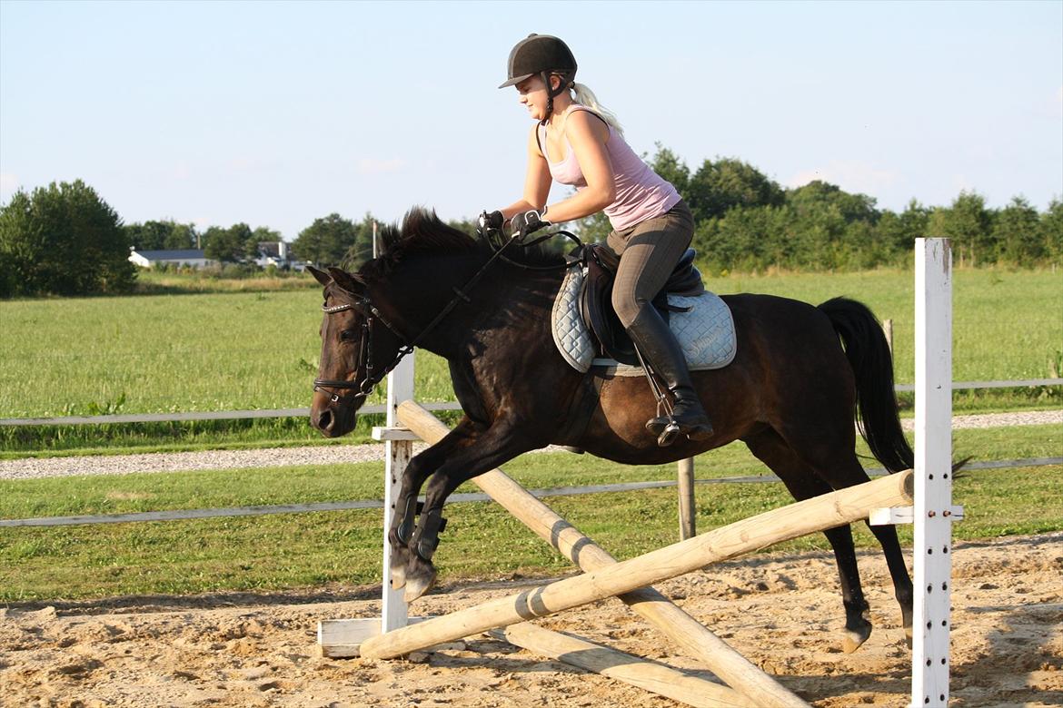 Anden særlig race skipper *Pensioneret - Gymnastik spring 2011.  billede 19