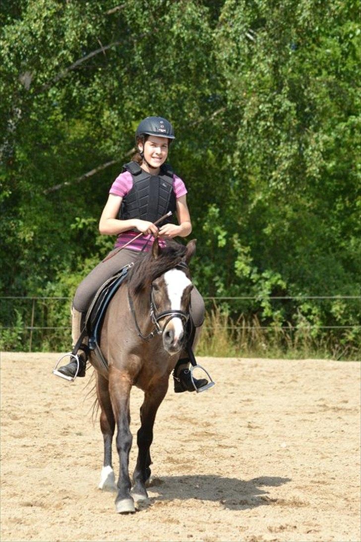 Anden særlig race Foxy billede 20