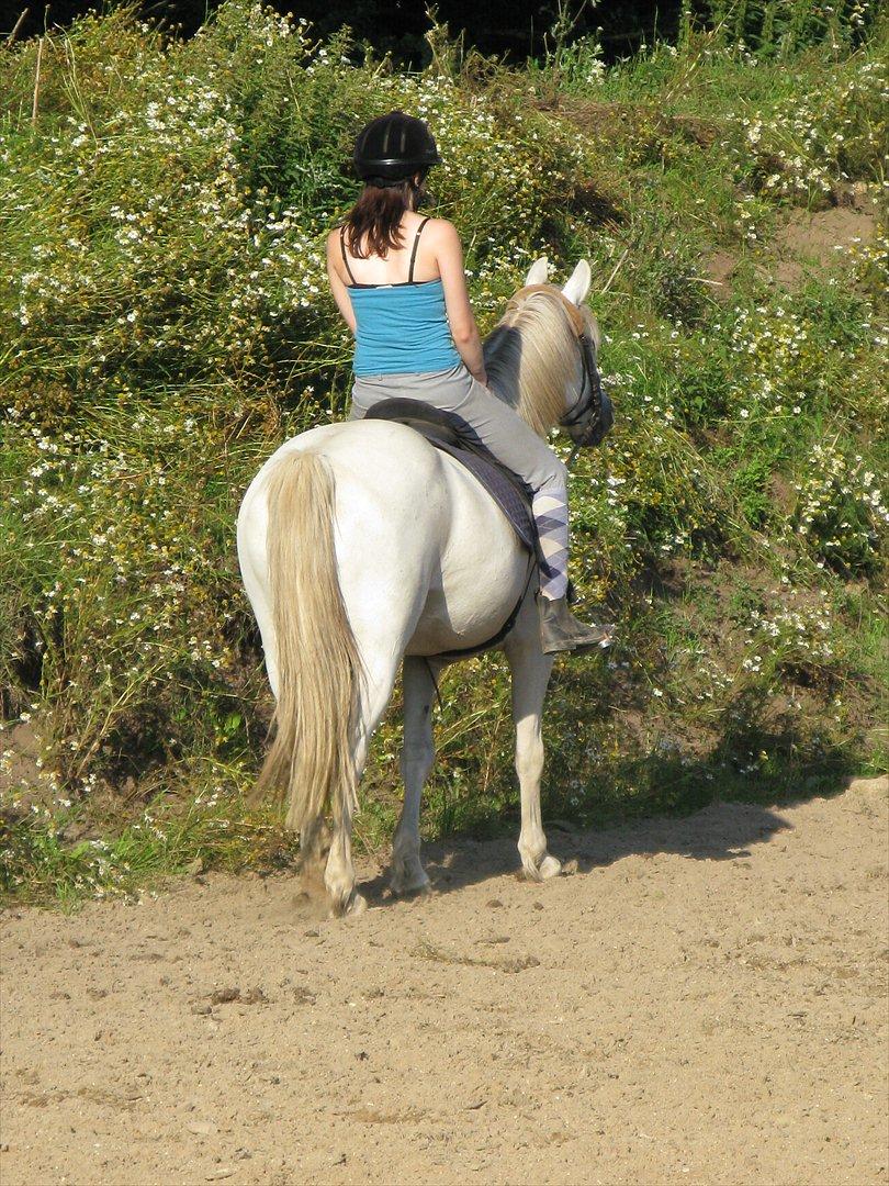 Anden særlig race Yasmin!<3  - Tak fordi i kiggede forbi ;) (foto: trine) billede 20