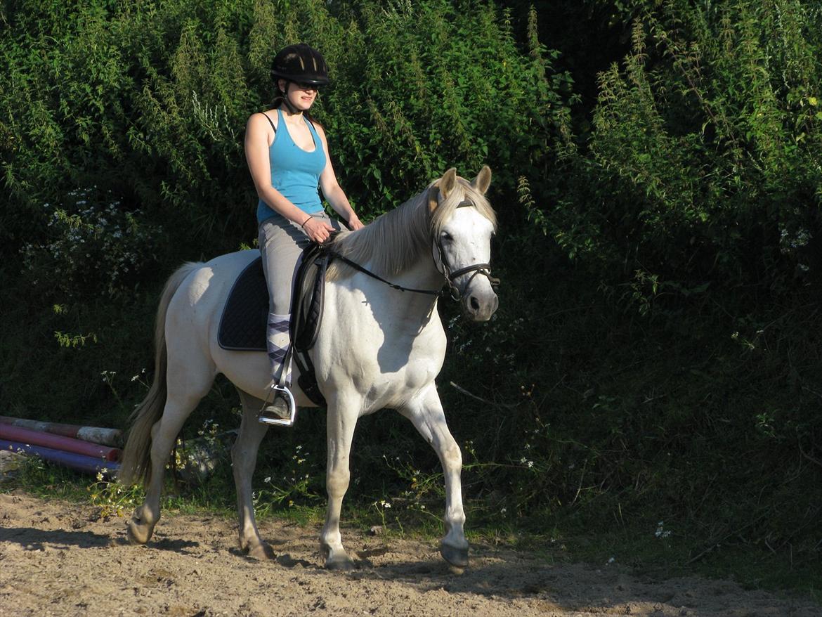 Anden særlig race Yasmin!<3  - Skridter, og Yasmin ser dejlig ud :) (foto: trine) billede 1