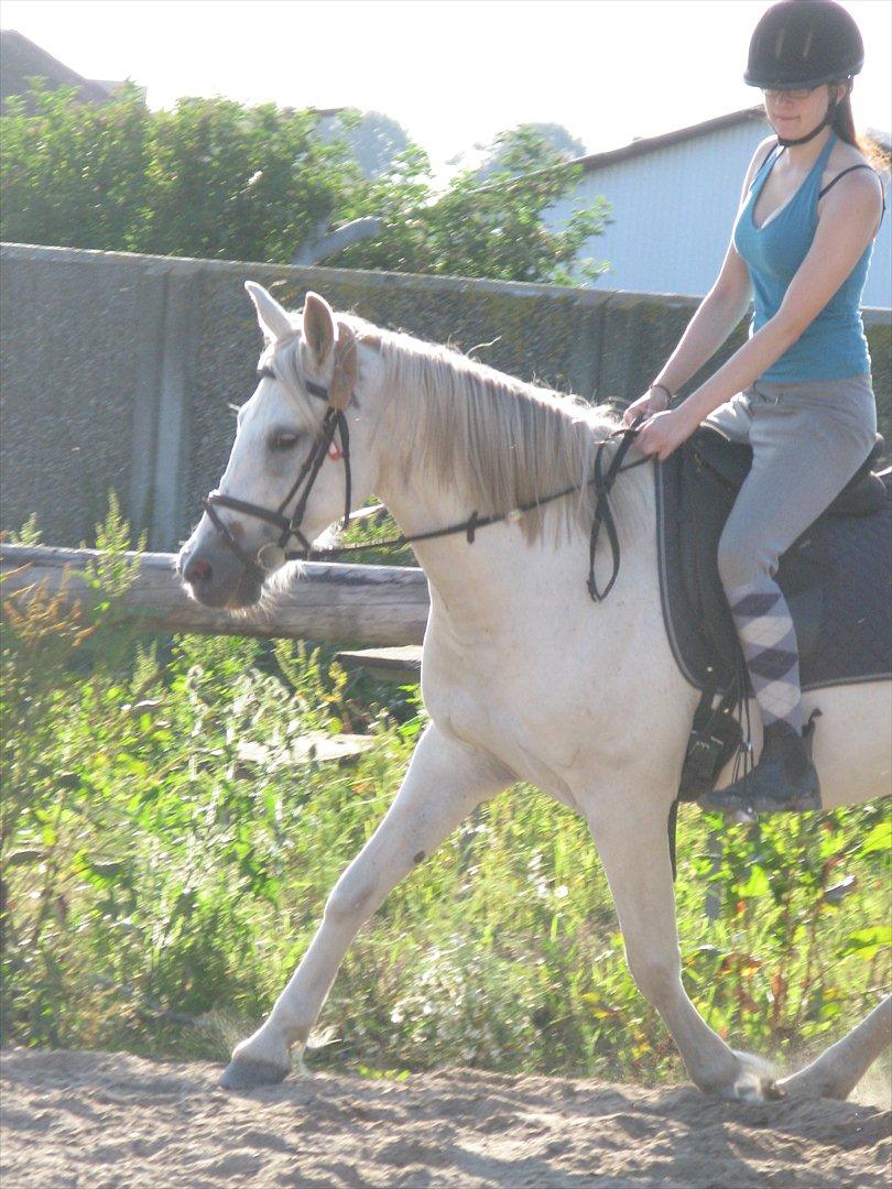 Anden særlig race Yasmin!<3  - Trav (foto: trine) billede 7