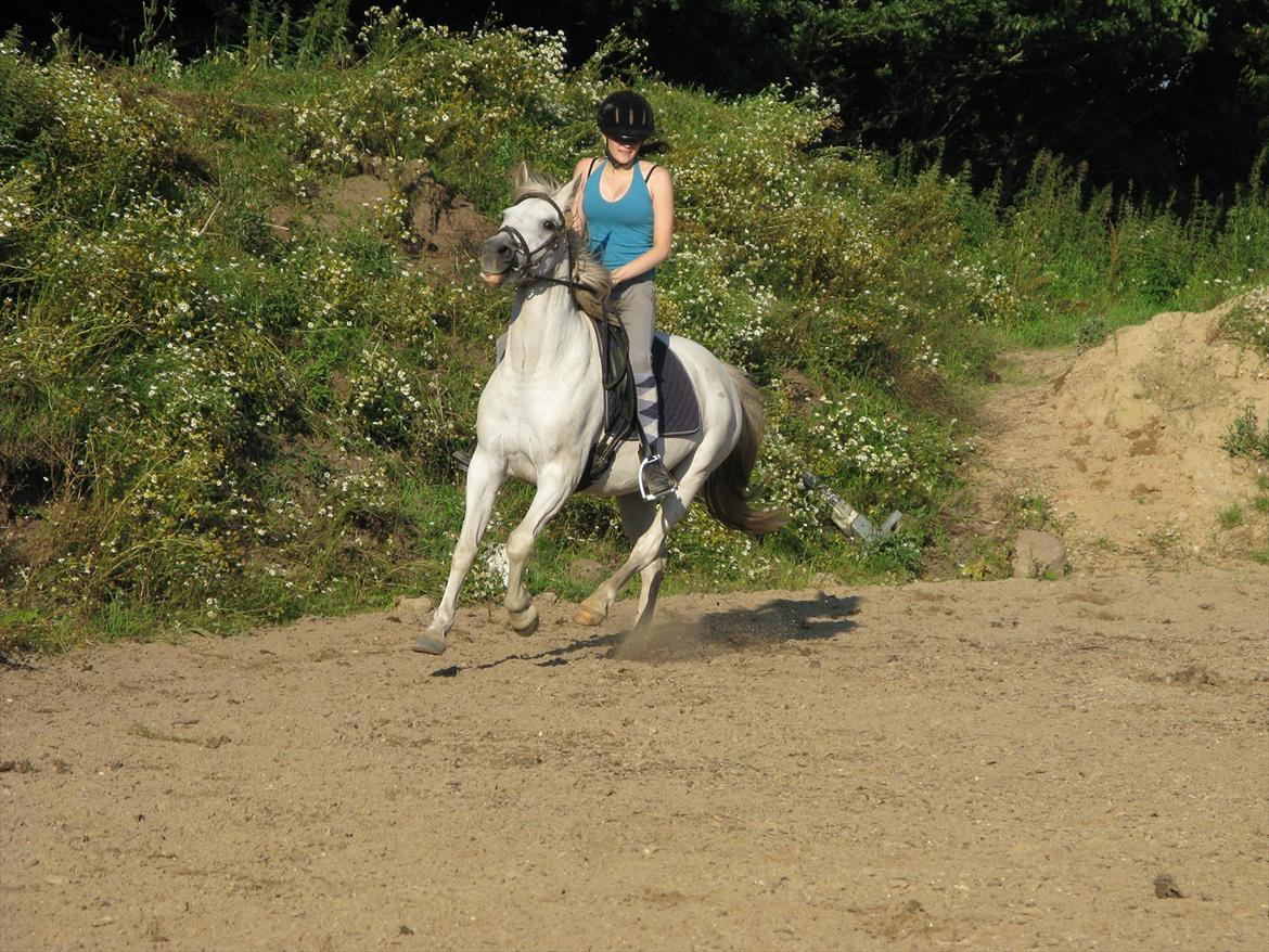 Anden særlig race Yasmin!<3  - Yasmin er overfrisk, og jeg tænker "Wow pony, roooolig" :-D Jeg sider underligt. Havde ikke liige forventet hun ville være så frisk ;) (foto: trine) billede 17