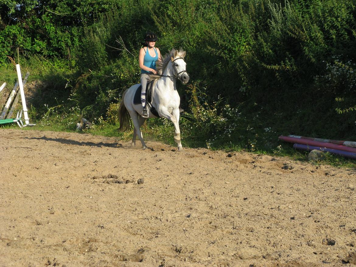 Anden særlig race Yasmin!<3  - Løb løb løb! :-D Kan tydeligvis ikke finde ud af at ride med springbøjler i dressur sadel ;) (foto: trine) billede 15