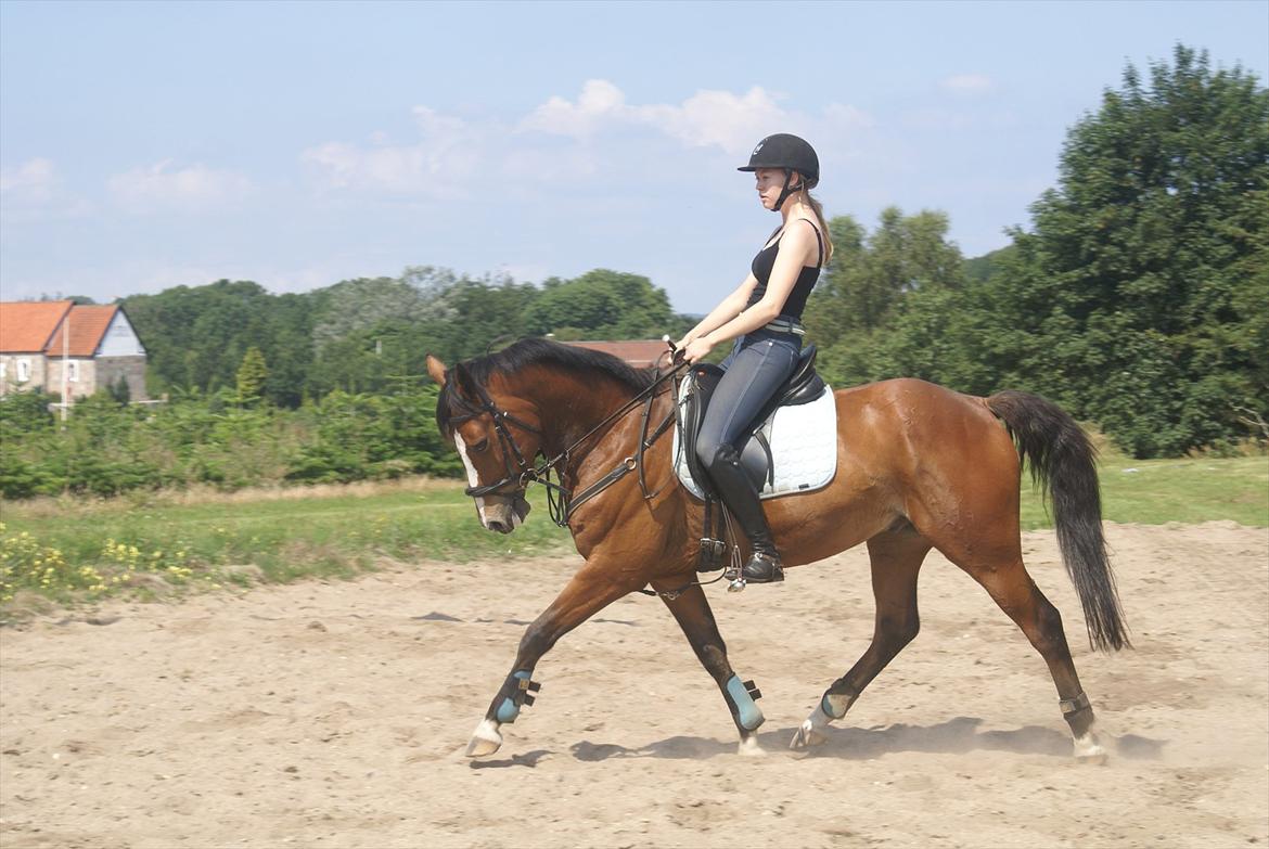 DSP Leonardo -Solgt :'( billede 14