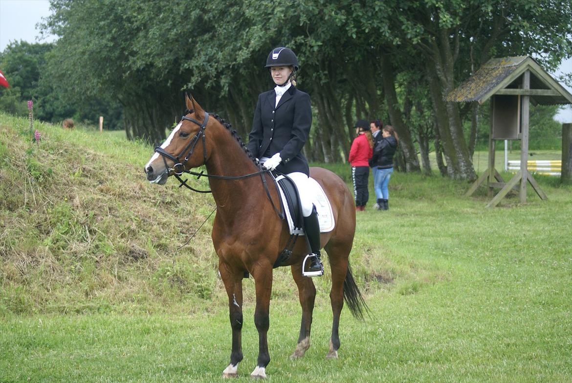 DSP Leonardo -Solgt :'( billede 13