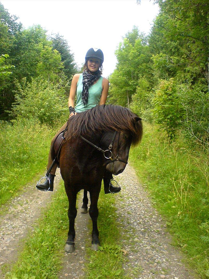 Islænder Skotti fra Velling - Skotti & jeg. - min mor der tager billedet (: Hyggelig tur!!! (Reminder - Sanni Poulsen? Fødderne IND til hesten!?) billede 3