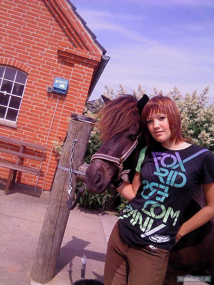 Islænder Skotti fra Velling - Skotti & jeg efter en dejlig ridetur :D billede 16