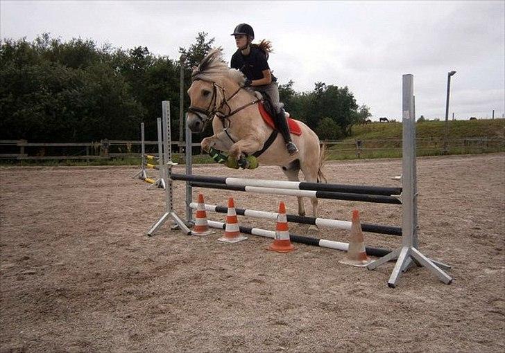 Fjordhest Aslaug *STJERNE* - Springtræning 85 cm JULI 2011 *Foto: Katrine* billede 9