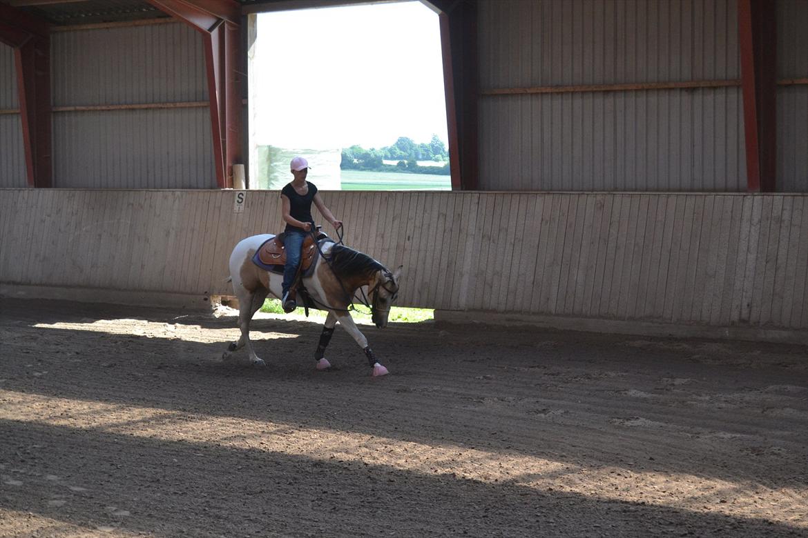 Paint Katies Prescription <3 himmel hest <3  billede 5