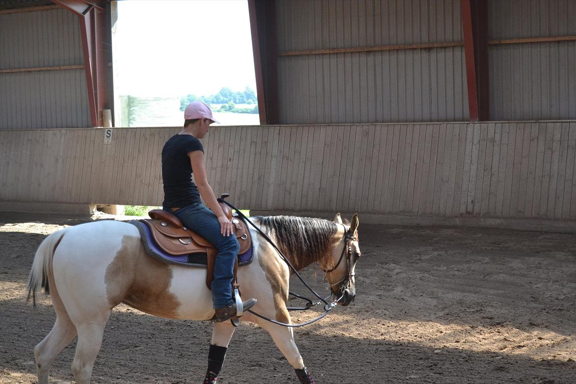 Paint Katies Prescription <3 himmel hest <3  billede 6