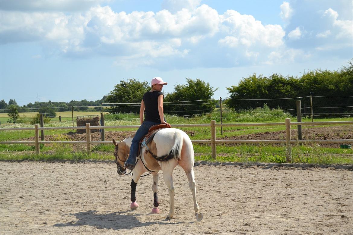 Paint Katies Prescription <3 himmel hest <3  billede 7