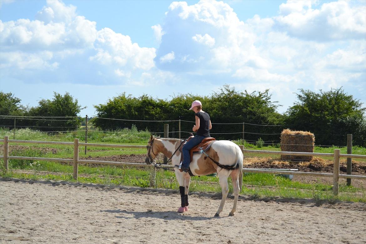 Paint Katies Prescription <3 himmel hest <3  billede 8