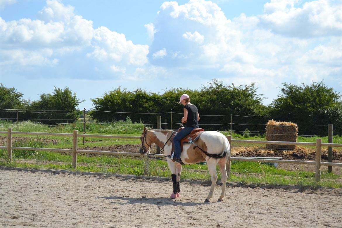 Paint Katies Prescription <3 himmel hest <3  billede 9