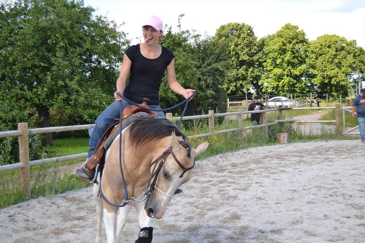 Paint Katies Prescription <3 himmel hest <3  - God træning :P billede 11