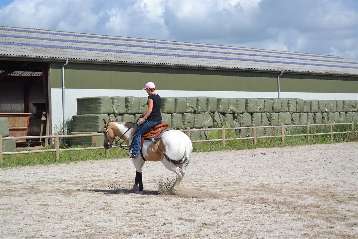 Paint Katies Prescription <3 himmel hest <3  billede 12