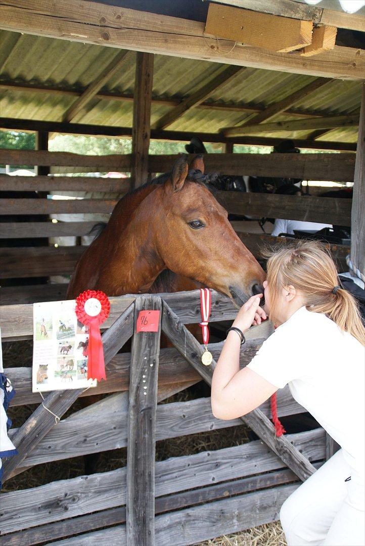 Anden særlig race Cassi. (Har passet) - Kyyyys, jeg elsker dig!<3 billede 10