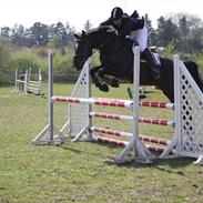 Oldenborg Halkjærs Expresso