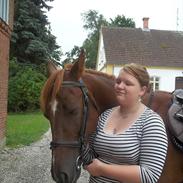 Anden særlig race Bassen (Ejer)