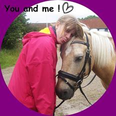 Palomino Skipper *passer*