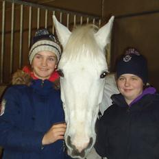 Anden særlig race Silver