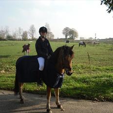 Anden særlig race Spirit <3