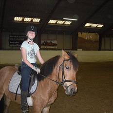 Anden særlig race Spirit <3